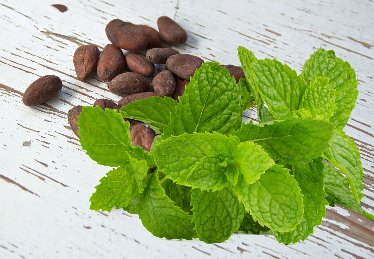 Cacao Spearmint Energy Tea - Loose Leaf