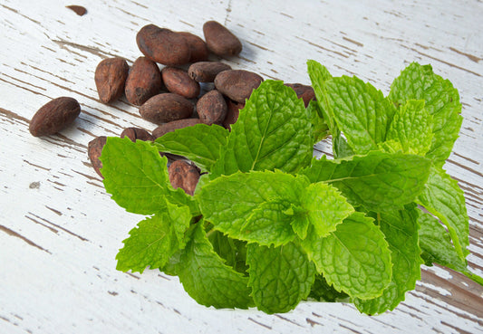 Cacao Spearmint Energy Tea - Loose Leaf