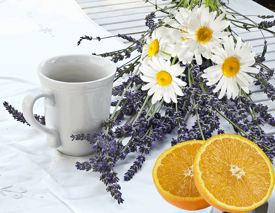 Luscious Lavender Tea - Tea Bags